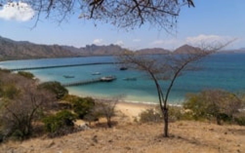 All-Inc Far East Cruise With Singapore & Bali Stays